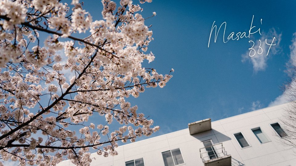 桜2K